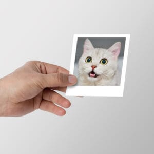 Fotokart